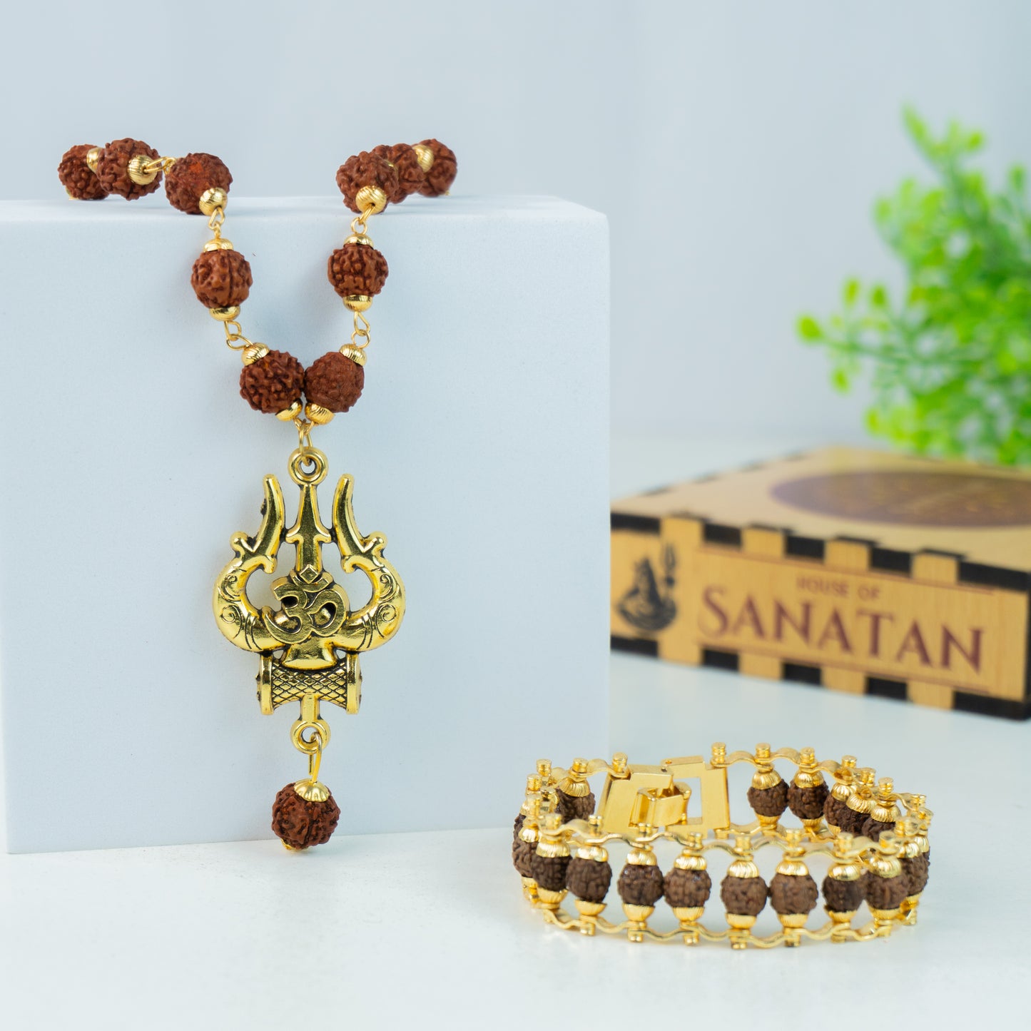 Raksha Kavach Combo – House of Sanatan