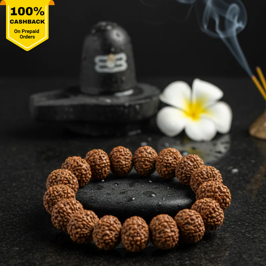 Original 7 Mukhi Rudraksha Bracelet 🔱