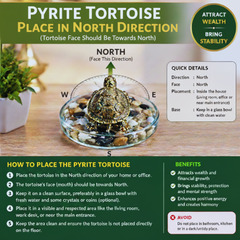 Pyrite Tortoise For Vastu Balance & Wealth Attraction