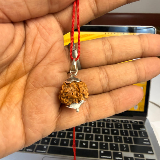 5 Mukhi Nepali Rudraksha