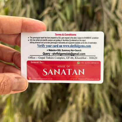 7-Mukhi Rudraksha Dual Power Combo | 7-Mukhi Nepali Rudraksha Pendant + 7-Mukhi Indonesian Rudraksha Bracelet