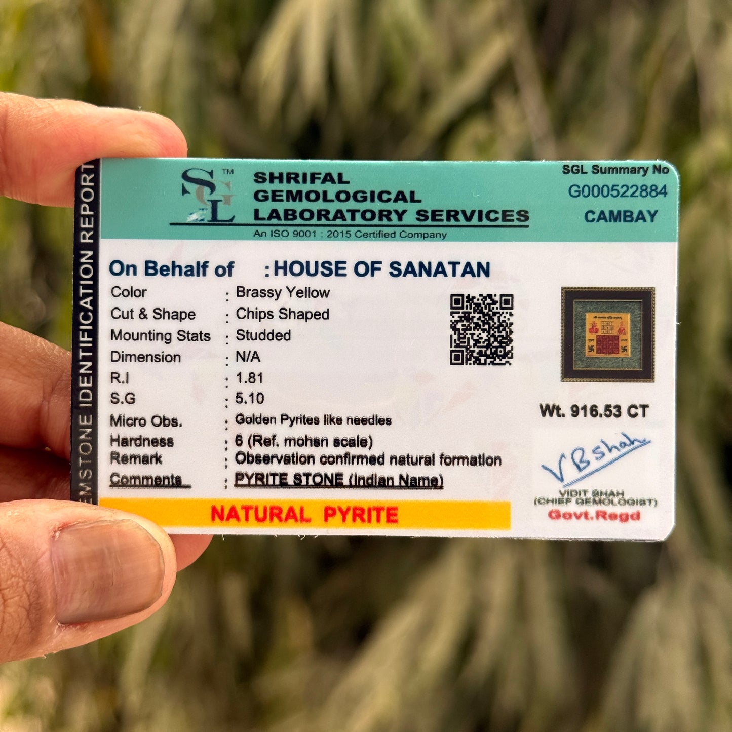 7 Horse & Vyapar Vriddhi Yantra on RAW Pyrite Frame COMBO | Best Business Growth Gift