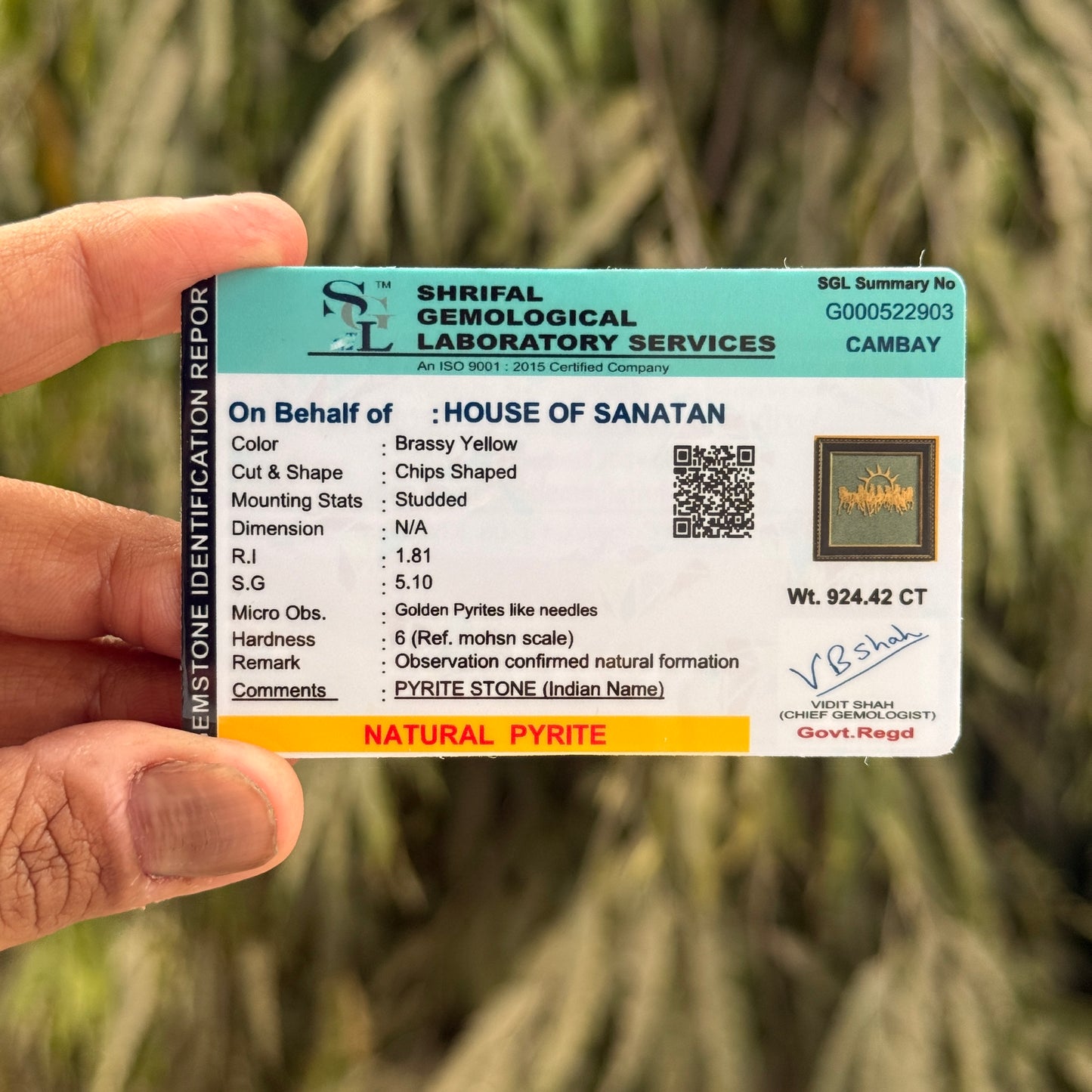 7 Horse & Vyapar Vriddhi Yantra on RAW Pyrite Frame COMBO | Best Business Growth Gift