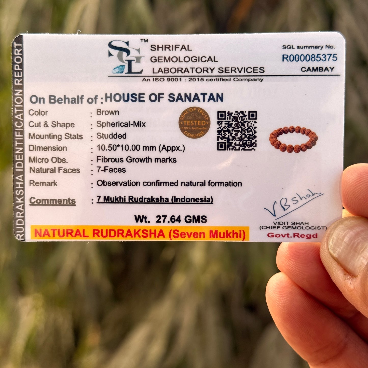 7-Mukhi Rudraksha Dual Power Combo | 7-Mukhi Nepali Rudraksha Pendant + 7-Mukhi Indonesian Rudraksha Bracelet