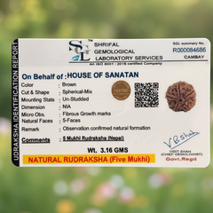 5 Mukhi Nepali Rudraksha - 100% Authentic | Lab Certified