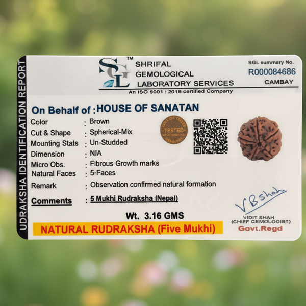 5 Mukhi Nepali Rudraksha - 100% Authentic | Lab Certified
