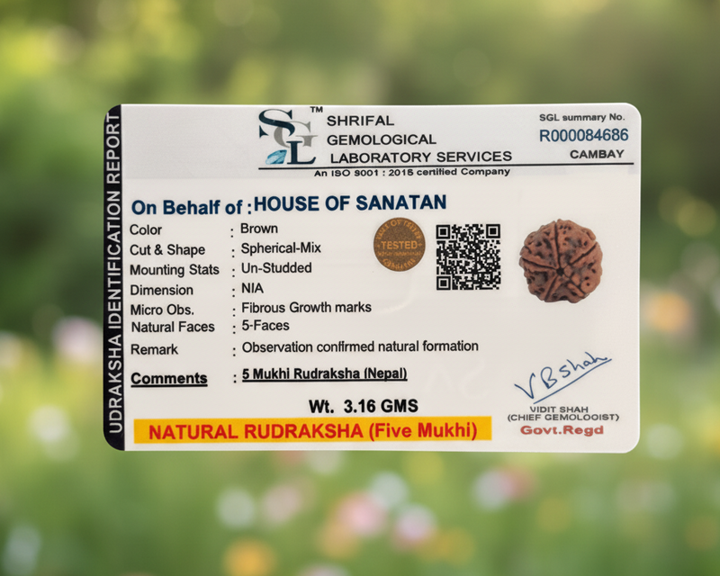 5 Mukhi Nepali Rudraksha - 100% Authentic | Lab Certified