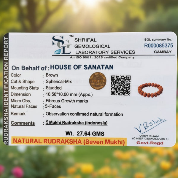 Shakti & Samriddhi Rudraksha Combo – 7 Mukhi Nepali (Silver-Capped) + 5 Mukhi Bracelet | 100% Authentic