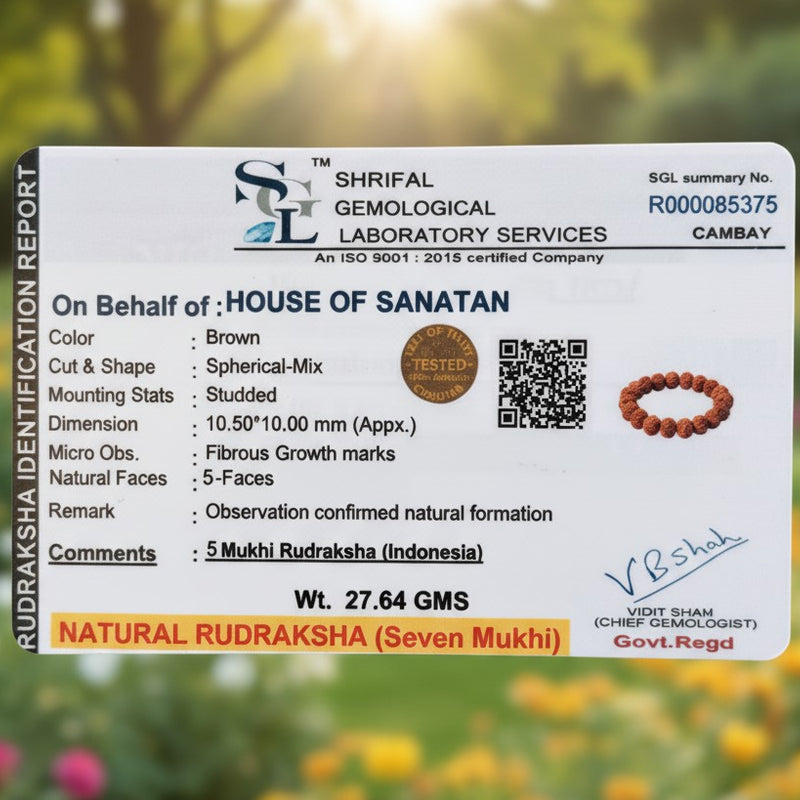 Shakti & Samriddhi Rudraksha Combo – 7 Mukhi Nepali (Silver-Capped) + 5 Mukhi Bracelet | 100% Authentic