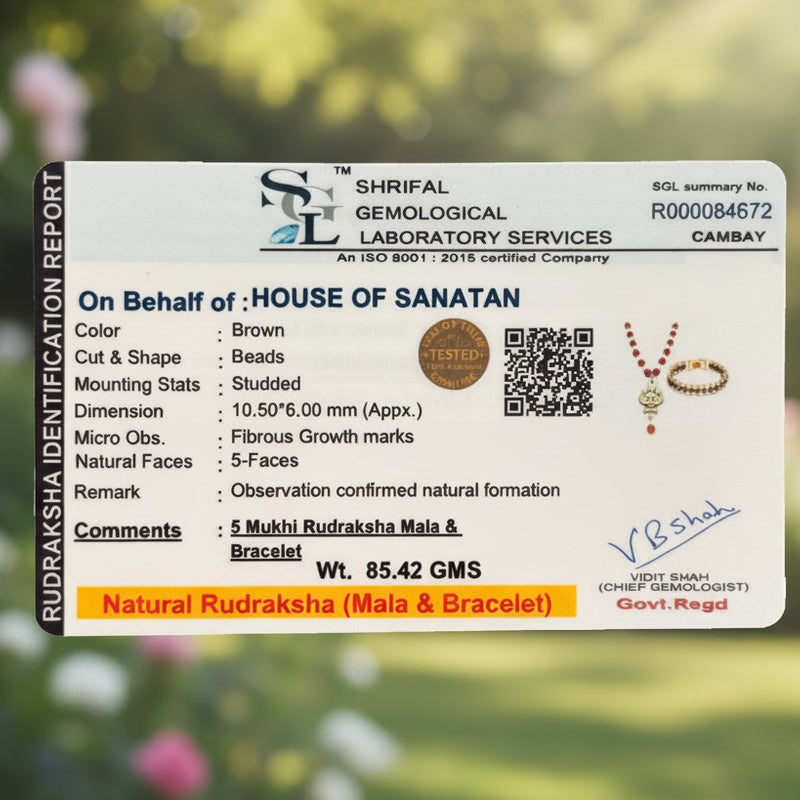 Raksha Kavach Combo – House of Sanatan