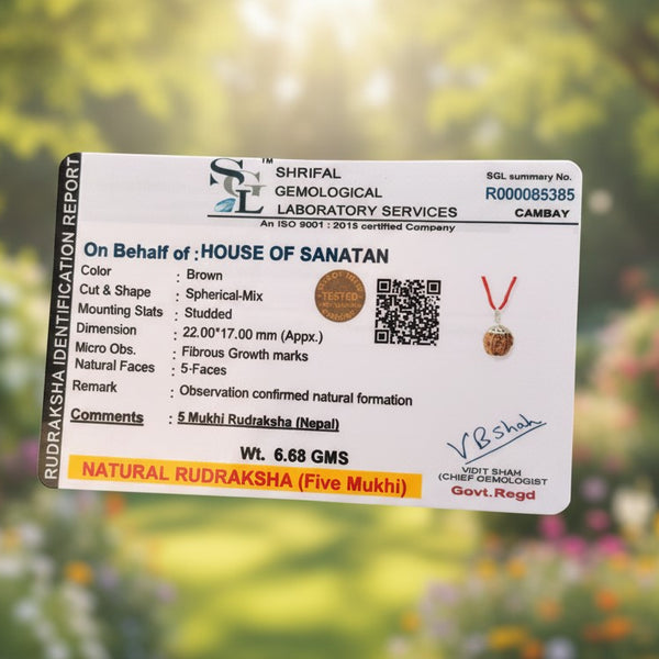 5 Mukhi Nepali Rudraksha - 100% Authentic | Lab Certified
