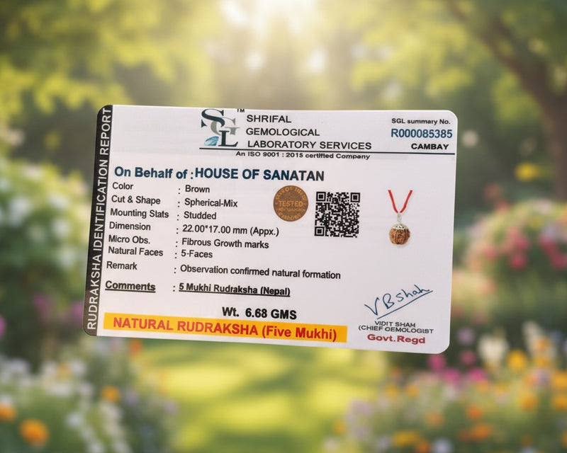 5 Mukhi Nepali Rudraksha - 100% Authentic | Lab Certified