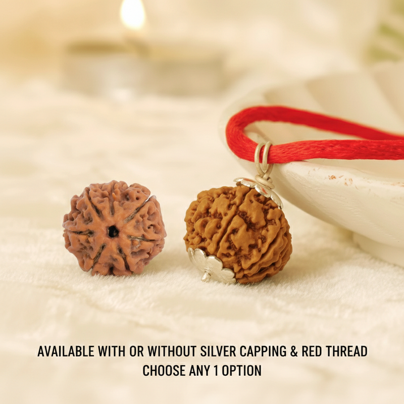7 Mukhi Nepali Rudraksha – 100% Authentic | Lab Certified