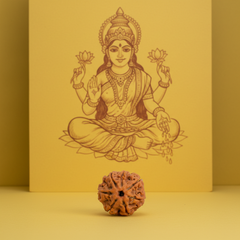 7 Mukhi Nepali Rudraksha – 100% Authentic | Lab Certified