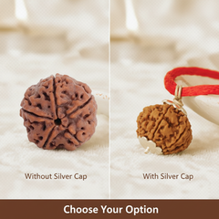 5 Mukhi Nepali Rudraksha - 100% Authentic | Lab Certified