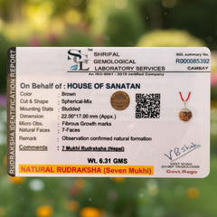 7-Mukhi Rudraksha Dual Power Combo | 7-Mukhi Nepali Rudraksha Pendant + 7-Mukhi Indonesian Rudraksha Bracelet