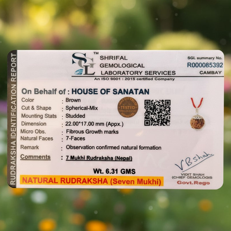 7-Mukhi Rudraksha Dual Power Combo | 7-Mukhi Nepali Rudraksha Pendant + 7-Mukhi Indonesian Rudraksha Bracelet
