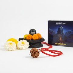7 Mukhi Nepali Rudraksha with Silver Plated Capping & Auspicious Red Thread | 100% Authentic & Lab Verified