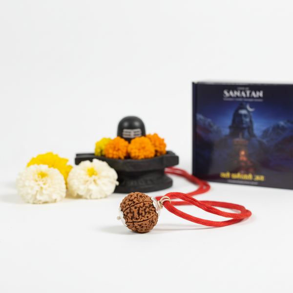 7 Mukhi Nepali Rudraksha with Silver Plated Capping & Auspicious Red Thread | 100% Authentic & Lab Verified